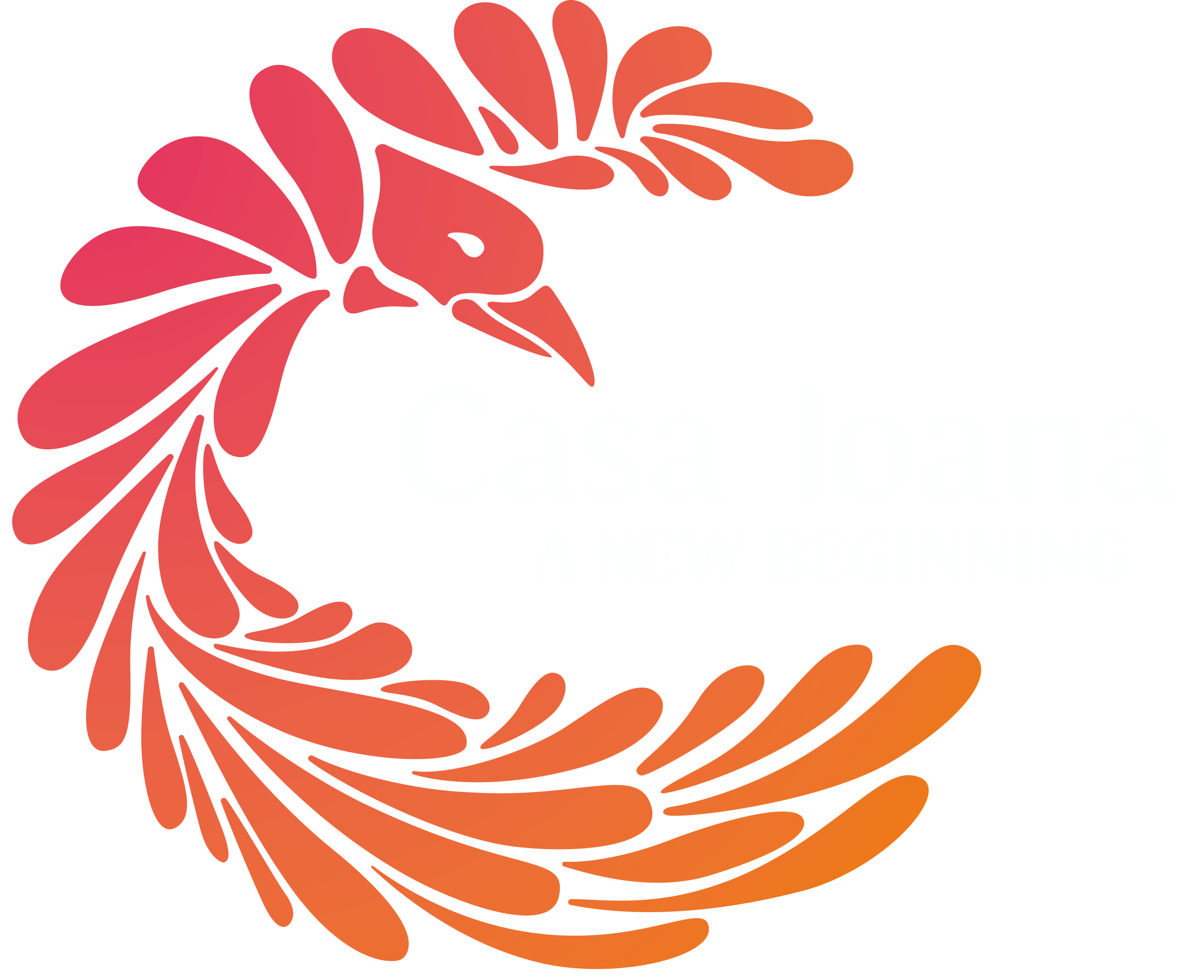 Asociația Casa Ioana