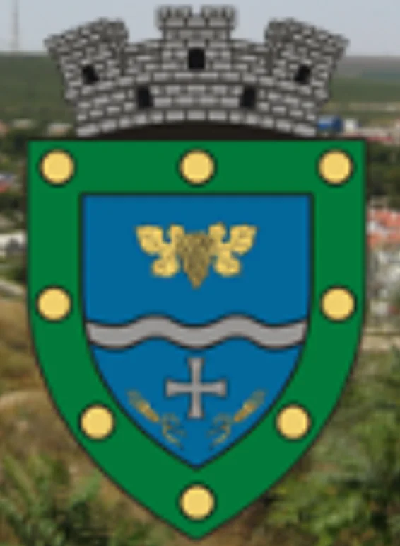Primăria Orașului Murfatlar