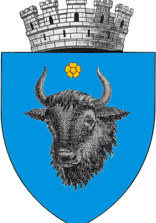 Primăria Municipiului Sighetu Marmației